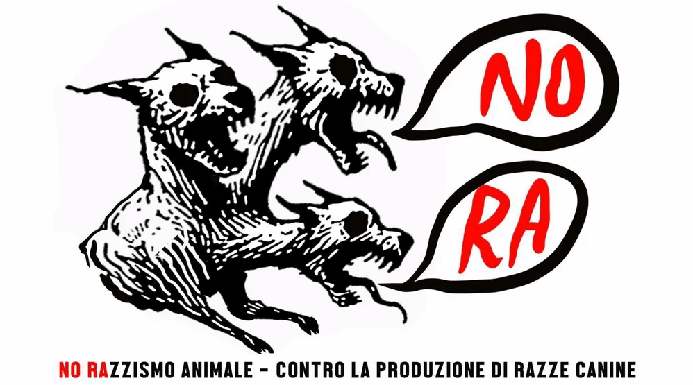 Campagna NORA