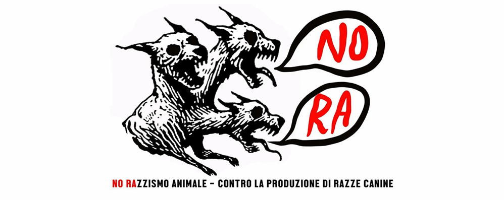 Campagna NORA