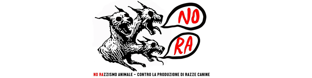 Campagna NORA